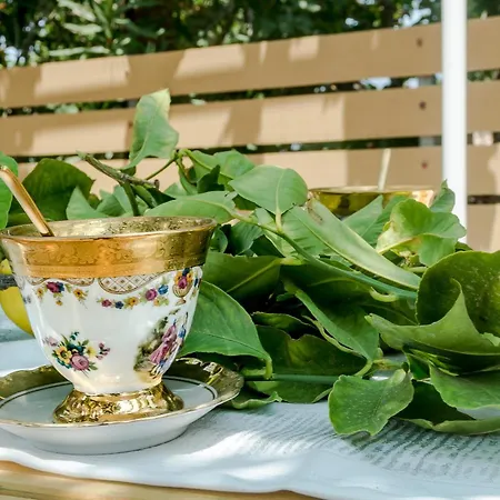 Apollo Retreat アパート アルゴストリオン